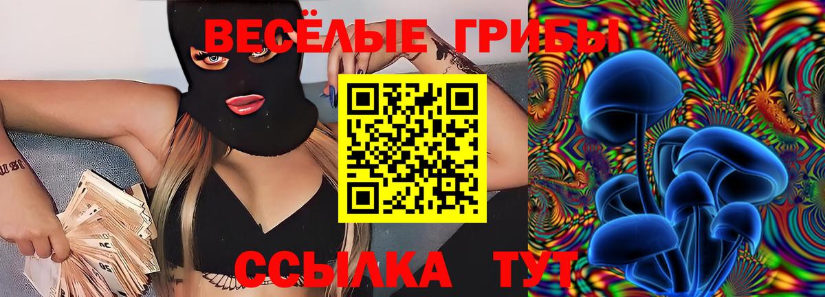 Галлюциногенные грибы GOLDEN TEACHER Симферополь